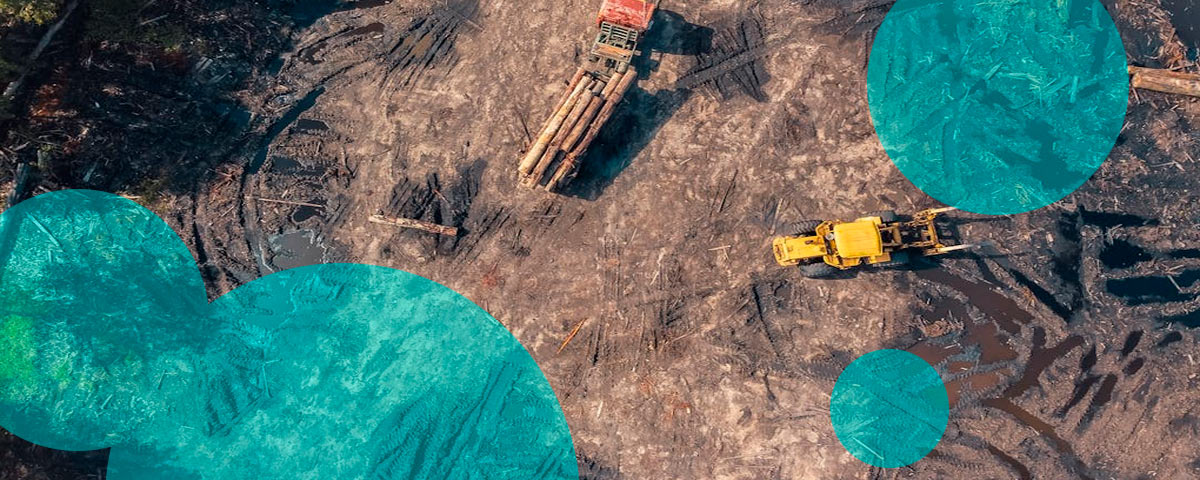 Munich Re warns climate losses strain major economies as risks escalate