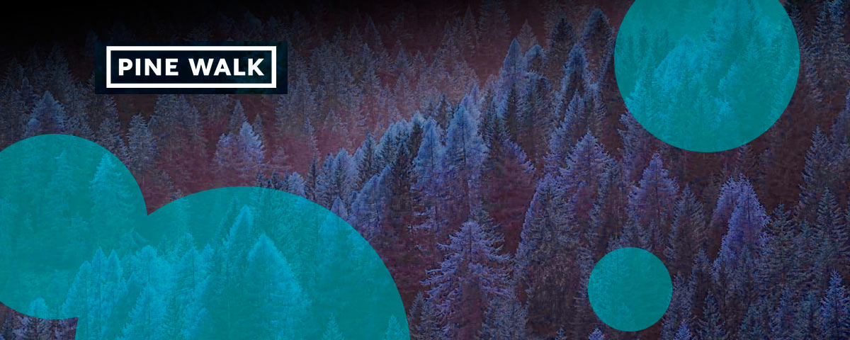 Pine Walk launches Carnovis MGA to expand structured reinsurance reach