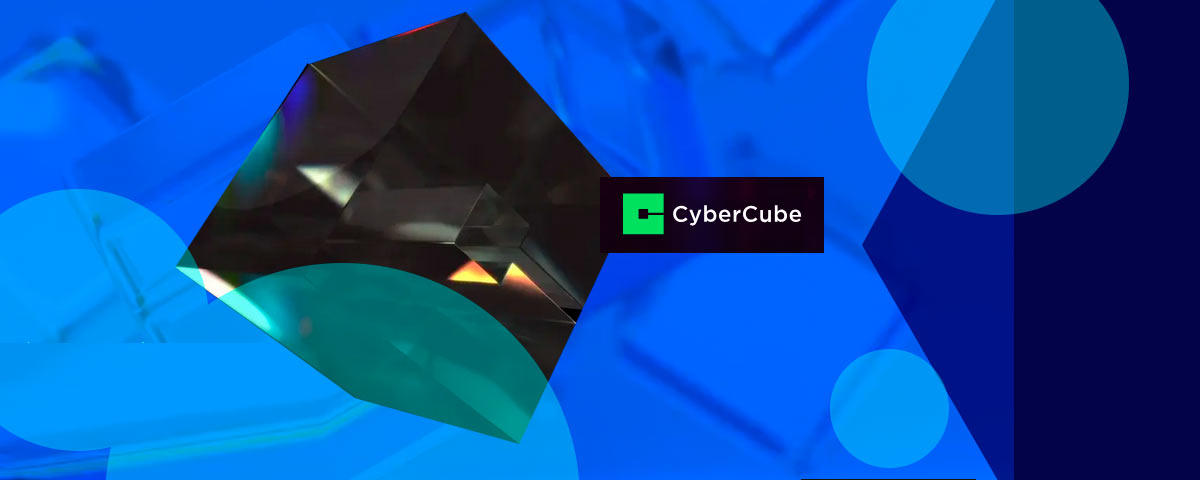 CyberCube links with Envoy Insure to power real time cyber risk analytics