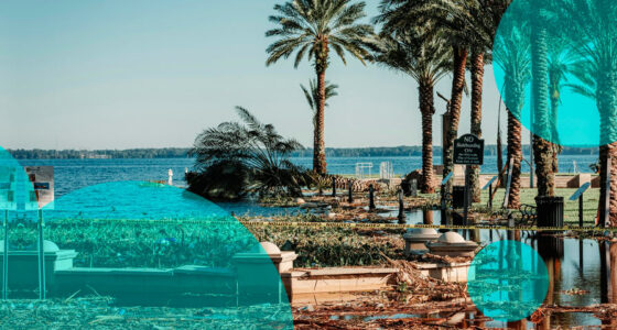 Citizens loses top spot as Florida’s private insurers retake the property market