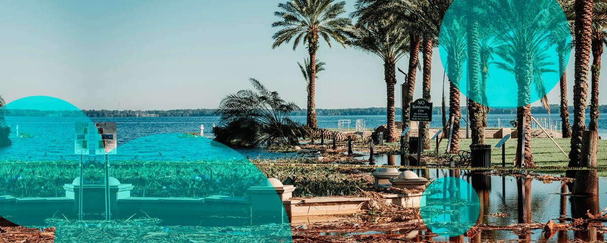 Citizens loses top spot as Florida’s private insurers retake the property market