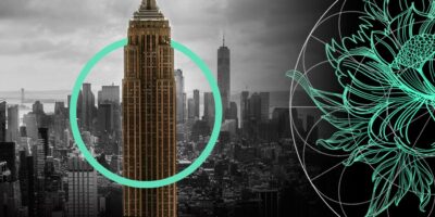 Wall Street’s Insurance Takeover Raises Fresh Alarms over Hidden Risks