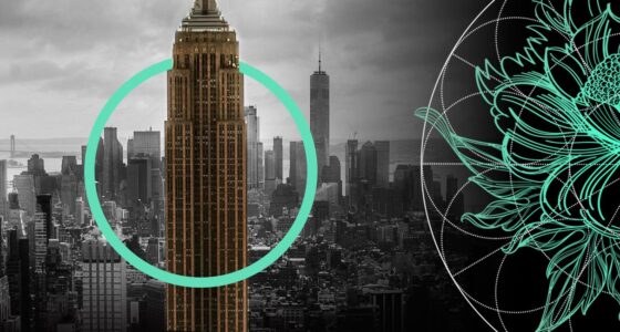 Wall Street’s Insurance Takeover Raises Fresh Alarms over Hidden Risks