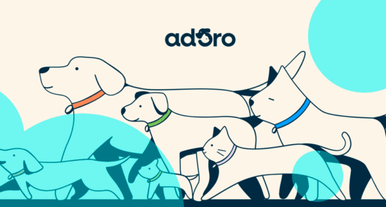 Insurtech Adoro launches pet insurance across 28 states in expanding US market