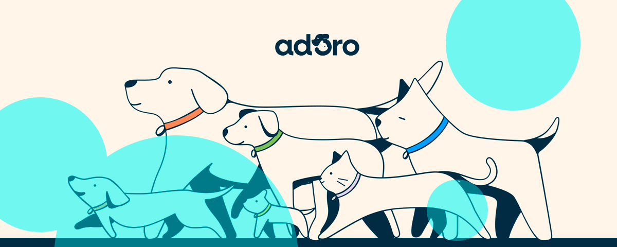 Insurtech Adoro launches pet insurance across 28 states in expanding US market