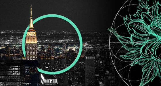 The Bitcoin Volatility Hedge and How Insurers Can Utilize Bitcoin ETFs to Balance Portfolio Risk