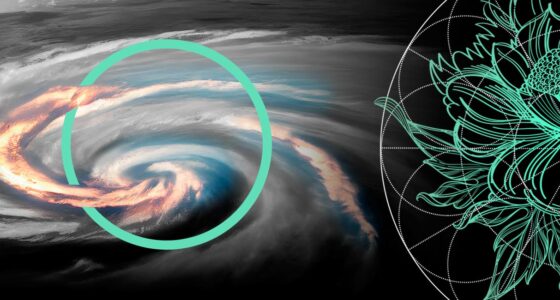 Asia’s ILS Market Needs Investor Familiarity Before Real Scale Arrives
