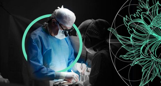 Fitch Ratings' Outlook for U.S. Health Insurance Sector for 2026