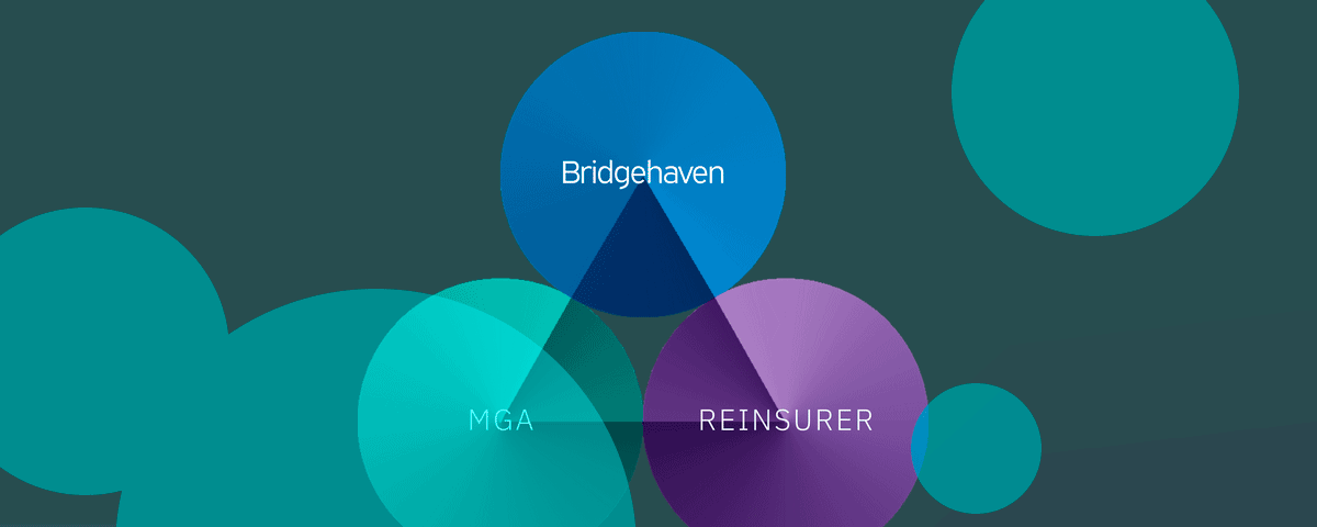 Bridgehaven completes SureStone deal to build its EU specialty platform