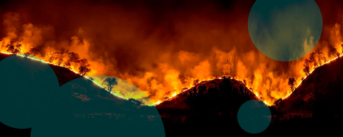 Wildfire cat bonds draw investors as modeling improves, issuance jumps