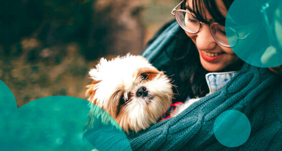 Florida approves pet insurance rate hikes averaging 9.25% in 2025