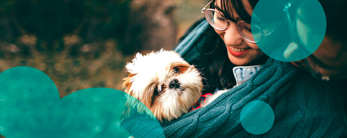 Florida approves pet insurance rate hikes averaging 9.25%