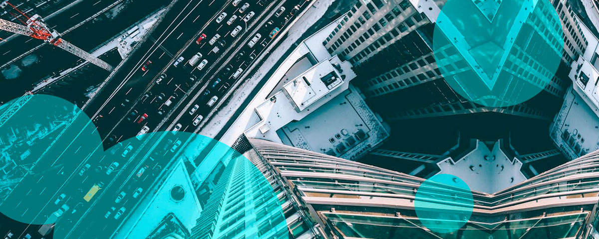 New Jersey Senate backs pet insurance bill to curb premium growth