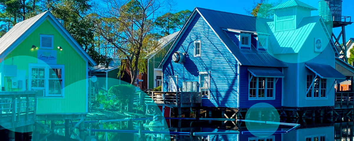 Florida’s 2026 laws reshape health benefits, pet insurance and consumer rules