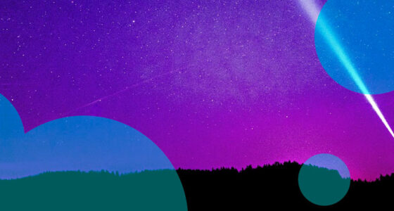 Cyber insurance strains to match fast-shifting threats and client demands