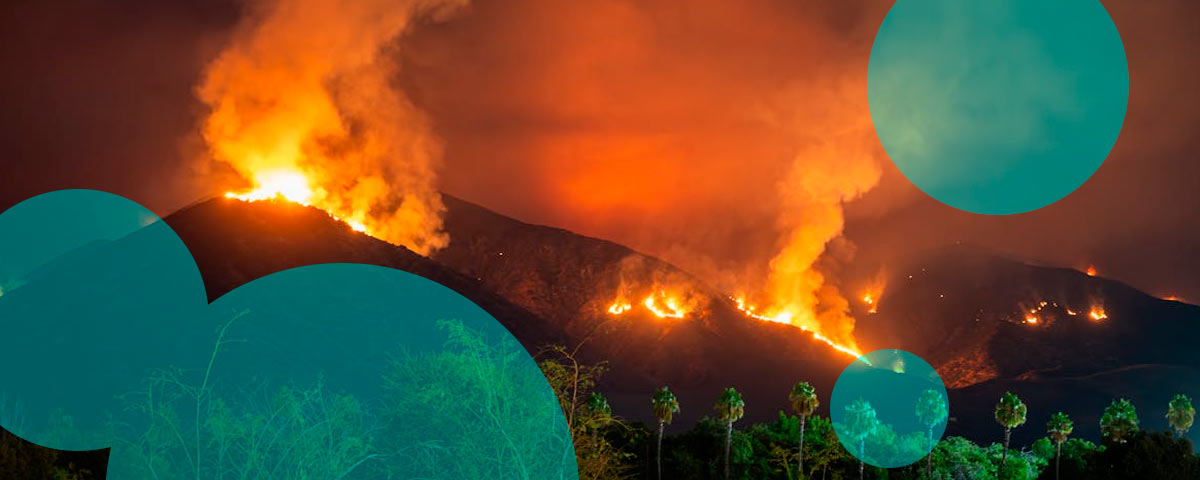 Los Angeles wildfires drive $22.4 bn in claims as insurance losses mount