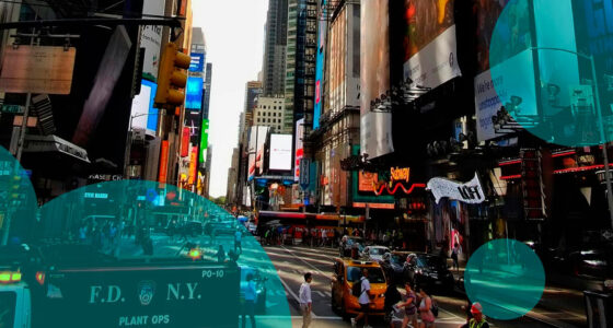 Professional Insurance Agents of New York backs Hochul focus on rising insurance costs