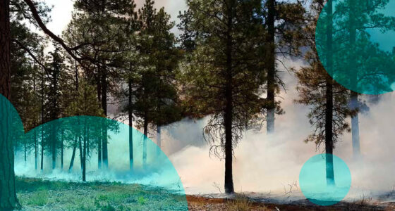 Oregon weighs wildfire mitigation mandate for home insurance pricing