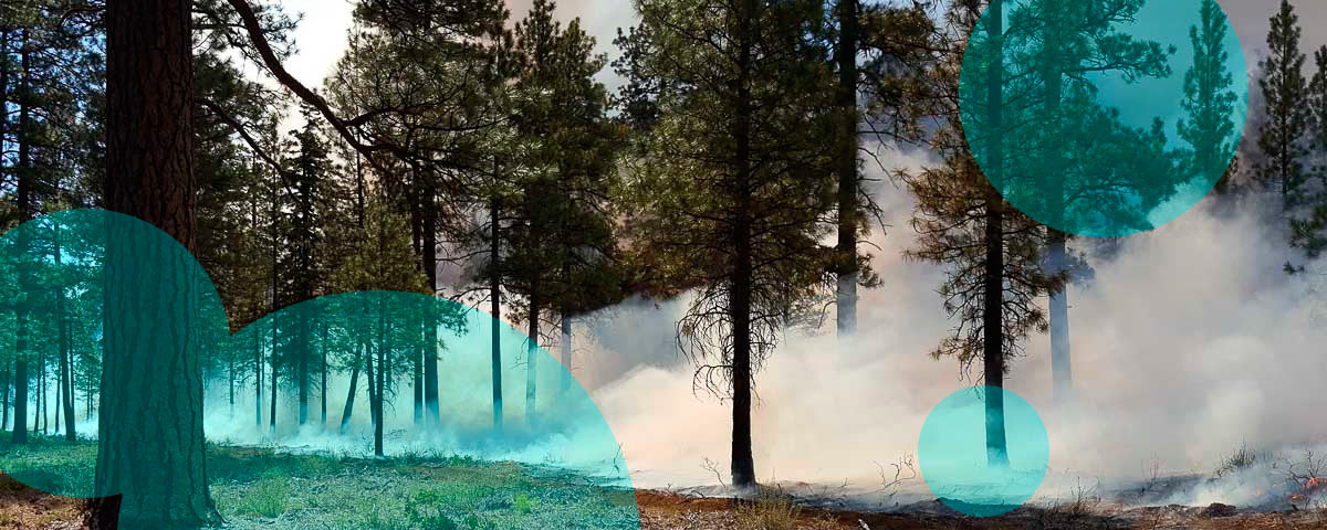 Oregon weighs wildfire mitigation mandate for home insurance pricing