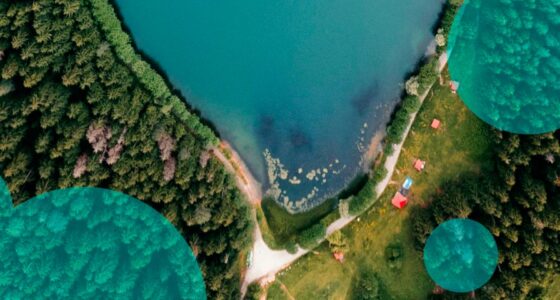 Florida bill raises hurricane fund retention and reshapes insurer reimbursements