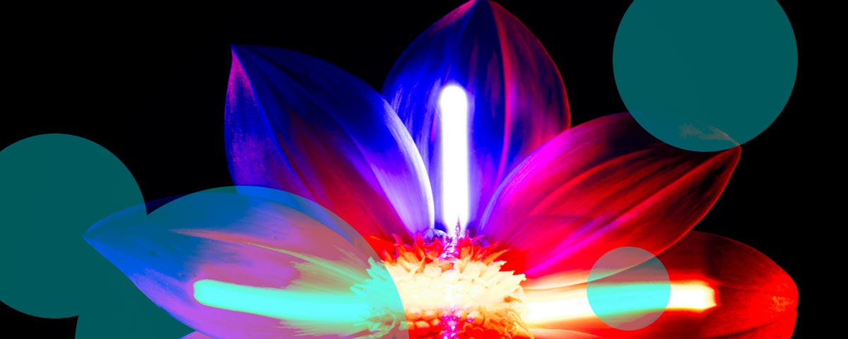 Cyber and AI dominate global risk outlook for 2026, Allianz finds