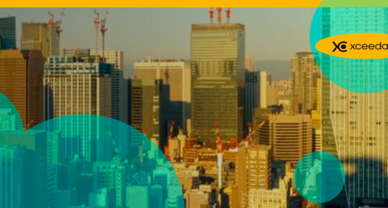 Insurtech Xceedance acquires Marble Box to enter agent, broker operations