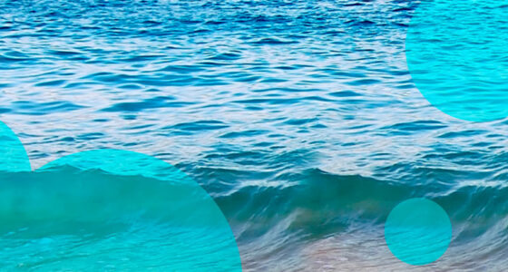 Brit Re launches property D&F underwriting in Bermuda market