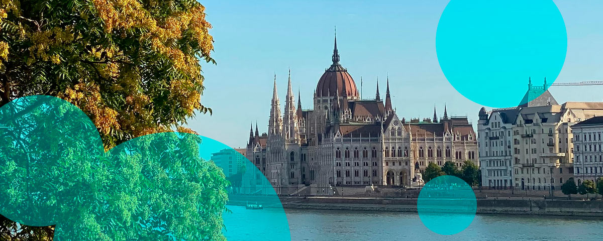 European reinsurance profits stay elevated, slowing price reversals