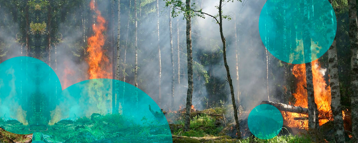 Gallagher Re: 2025 catastrophe losses stay manageable for insurers