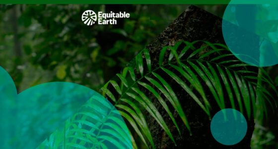 Equitable Earth raised €12.6 mn to scale nature-based carbon certification