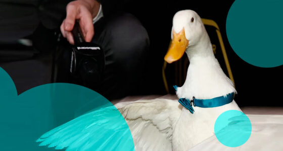 Aflac to notify 22.7 mn customers after June cyber incident - Case study