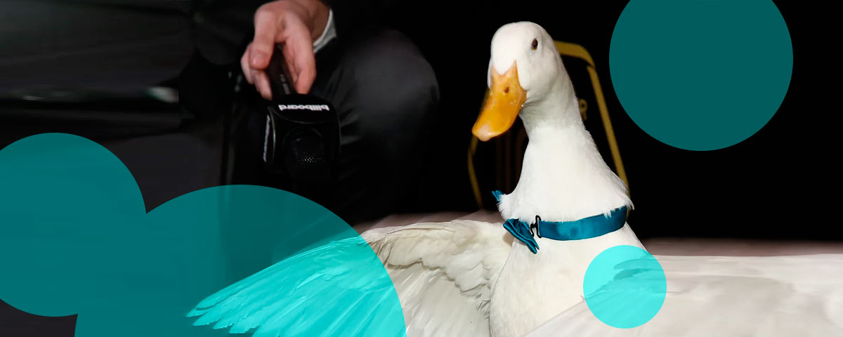 Aflac to notify 22.7 mn customers after June cyber incident - Case study