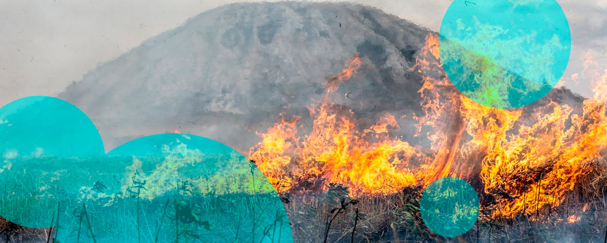 Canada’s insured catastrophe losses reach CAD 2.4 bn in 2025