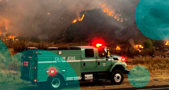 California blocks home insurance non-renewals after Gifford Fire