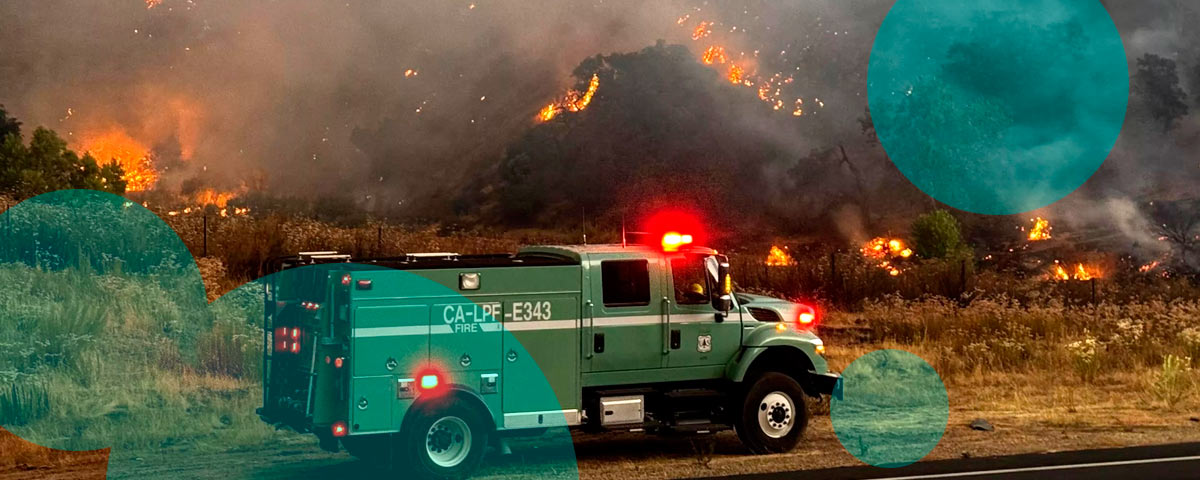 California blocks home insurance non-renewals after Gifford Fire