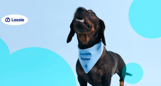 Insurtech Lassie raised $75 mn to scale prevention-first pet insurance in Europe
