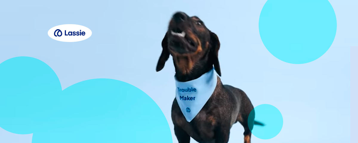 Insurtech Lassie raised $75 mn to scale prevention-first pet insurance in Europe