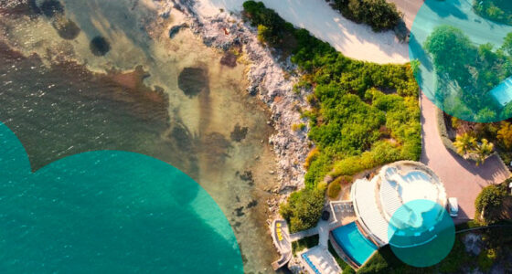 The Cayman Islands’ reinsurance sector has expanded sharply