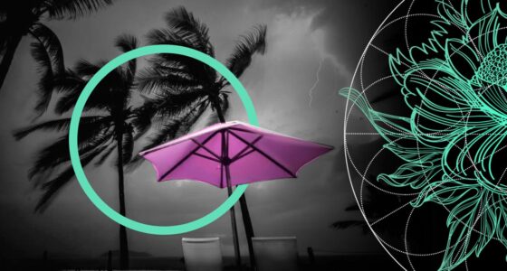 2025 Atlantic Hurricane Season Shows Intensity Risk Despite no US Landfalls