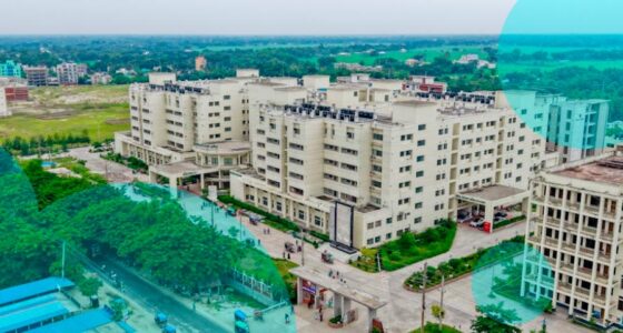 In 🇿🇼 Zimbabwe, funeral insurance outpaces health cover as care costs soar