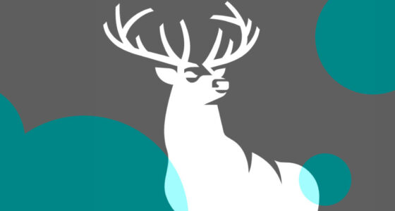 Hartford Insurance to pay $100 mn in Baltimore archdiocese abuse bankruptcy