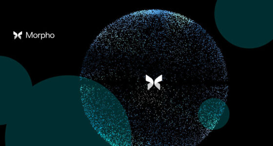 Decentralized protocol Morpho raises $175 mn as DeFi lending demand grows