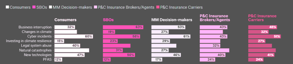 Global top insurance risks