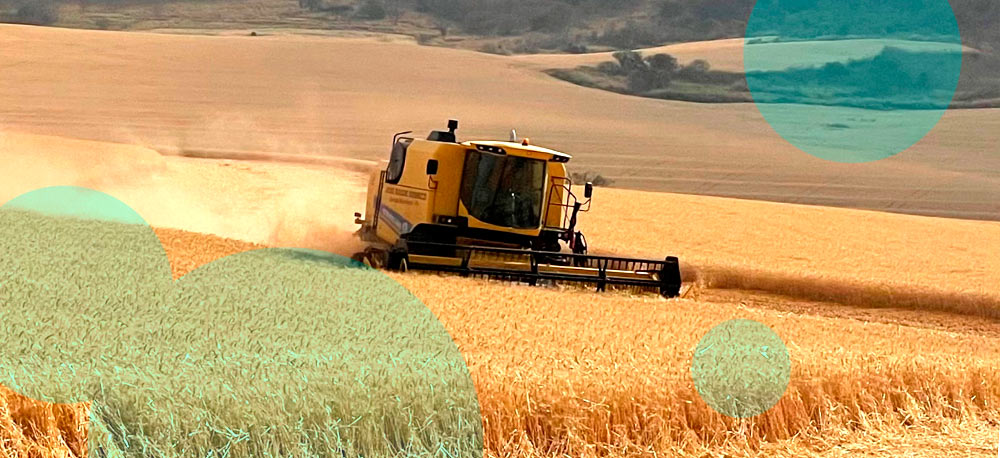 Crop insurance market by crop type