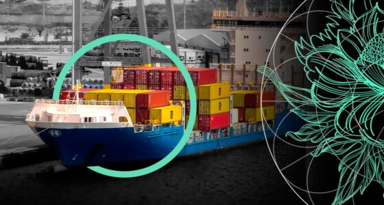 Black Sea War Risk Expansion Raises Shipping Insurance Costs