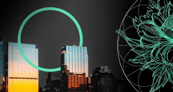 Reinsurance Buyers Expect Deeper Property Price Cuts in 2027