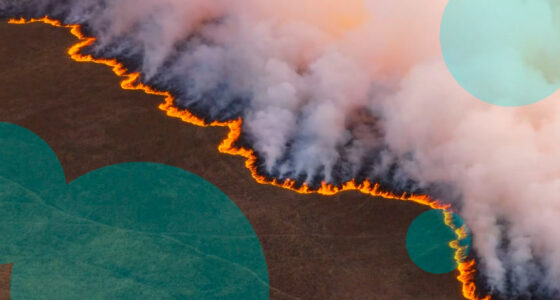 Global insured catastrophe losses