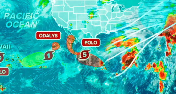 Hurricane watch issued for Hawaii as Tropical Storm Nolo strengthens