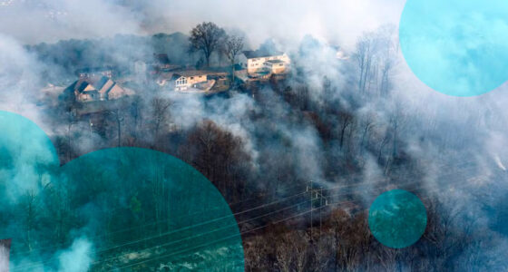 California sets wildfire smoke damage rules for home insurers