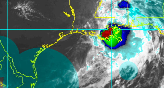 Florida hurricane losses could exceed $300bn as coastal exposure grows